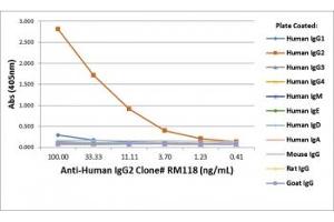 ELISA of human immunoglobulins shows recombinant Human IgG2 antibody only reacted to hIgG2. (Recombinant 兔 anti-人 IgG2 Antibody)