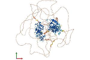 AlphaFold protein structure predicition of Human Recombinant AGAP2 Protein, UniprotID Q99490 (AGAP2 Protein (AA 1-1192) (His tag))