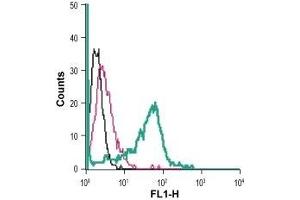 Cell surface detection of ADORA2b in live intact mouse J774 macrophage cells: (black line) Cells. (Adenosine A2b Receptor 抗体  (C154S, Extracellular) (FITC))