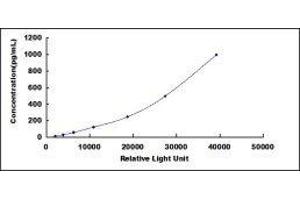 ELISA image for Oxidized Low Density Lipoprotein (OxLDL) CLIA Kit (ABIN1081794)