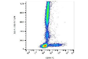 Surface staining of human peripheral blood with anti-human CD56 (LT56) APC. (CD56 抗体  (APC))