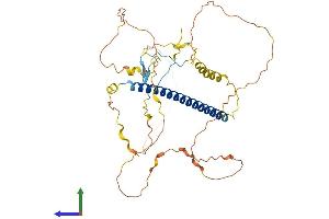 Protein Structure (PS) image for TSC22 Domain Family, Member 4 (TSC22D4) (AA 1-387) protein (His tag) (ABIN7561405)