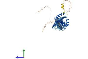 AlphaFold protein structure predicition of Human Recombinant KCTD13 Protein, UniprotID Q8WZ19