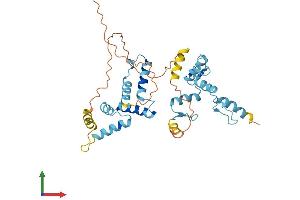 Protein Structure (PS) image for Zinc Finger and SCAN Domain Containing 16 (ZSCAN16) (AA 1-348) protein (His tag) (ABIN7545773)