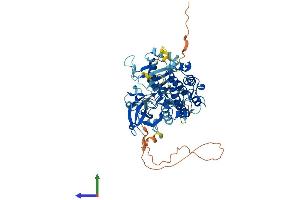 AlphaFold protein structure predicition of Human Recombinant PRKCZ Protein, UniprotID Q05513