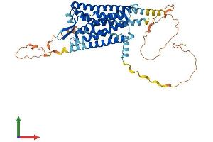 AlphaFold protein structure predicition of Human Recombinant CCKBR Protein, UniprotID P32239