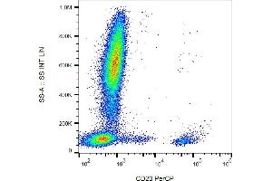 Flow cytometry analysis (surface staining) of human peripheral blood with anti-CD20 (2H7) PerCP. (CD20 抗体  (PerCP))