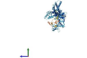 Protein Structure (PS) image for rho Guanine Nucleotide Exchange Factor (GEF) 37 (ARHGEF37) (AA 1-676) protein (His tag) (ABIN7561855)