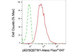 Flow cytometric analysis of p62/SQSTM1 expression in HepG2 cells using p62/SQSTM1 antibody (ABIN7800299), 1:2,000). (Recombinant SQSTM1 抗体)