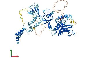 Protein Structure (PS) image for Membrane Protein, Palmitoylated 7 (MAGUK p55 Subfamily Member 7) (MPP7) (AA 1-576) protein (His tag) (ABIN7549510)