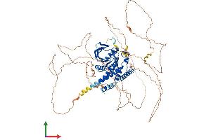Protein Structure (PS) image for Tyrosine-Protein Phosphatase Non-Receptor Type 22 (PTPN22) (AA 1-802) protein (His tag) (ABIN7563073)