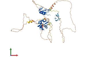 Protein Structure (PS) image for Mdm4-binding Protein (MDM4) (AA 1-490) protein (His tag) (ABIN7549390)