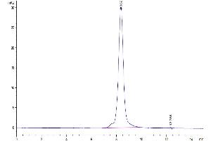 Size-exclusion chromatography-High Pressure Liquid Chromatography (SEC-HPLC) image for Interleukin 12 (IL12) (AA 23-328) protein (His-Avi Tag) (ABIN7274898)