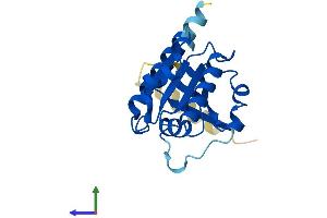 Protein Structure (PS) image for ADP-Ribosylation Factor-Like 15 (ARL15) (AA 1-204) protein (His tag) (ABIN7552270)