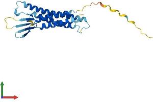 Protein Structure (PS) image for Claudin 1 (CLDN1) (AA 1-211) protein (His tag) (ABIN7562625)