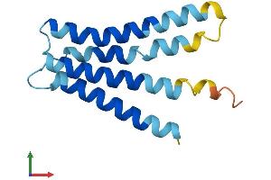 Protein Structure (PS) image for Leptin Receptor Overlapping Transcript-Like 1 (LEPROTL1) (AA 1-131) protein (His tag) (ABIN7560515)