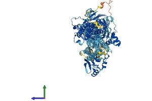 Protein Structure (PS) image for ATPase, Ca++ Transporting, Cardiac Muscle, Slow Twitch 2 (ATP2A2) (AA 1-1042) protein (His tag) (ABIN7552458)