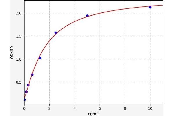 PRIM2 ELISA 试剂盒