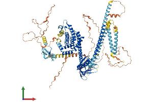 Protein Structure (PS) image for rho/rac Guanine Nucleotide Exchange Factor (GEF) 2 (ARHGEF2) (AA 1-985) protein (His tag) (ABIN7563886)