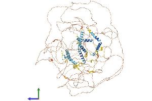 AlphaFold protein structure predicition of Human Recombinant NPAT Protein, UniprotID Q14207 (NPAT Protein (AA 1-1427) (His tag))