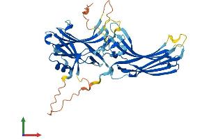 Protein Structure (PS) image for Arrestin, beta 1 (ARRB1) (AA 1-418) protein (His tag) (ABIN7552446)