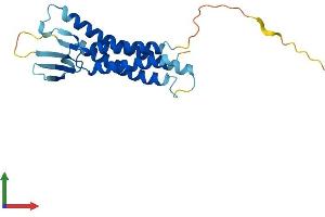 Protein Structure (PS) image for Claudin 7 (CLDN7) (AA 1-211) protein (His tag) (ABIN7556409)