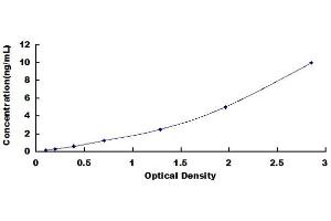 Typical standard curve (WARS ELISA 试剂盒)