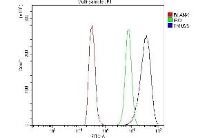 Flow Cytometry analysis of NRK cells using anti-TRIM25/EFP antibody (ABIN7599491).