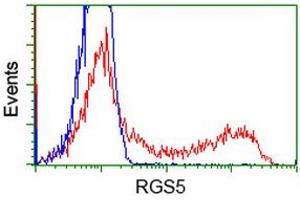 HEK293T cells transfected with either RC206857 overexpress plasmid (Red) or empty vector control plasmid (Blue) were immunostained by anti-RGS5 antibody (ABIN2454699), and then analyzed by flow cytometry. (RGS5 抗体  (AA 1-181))