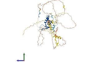 Protein Structure (PS) image for Forkhead Box D1 (FOXD1) (AA 1-465) protein (His tag) (ABIN7547831)