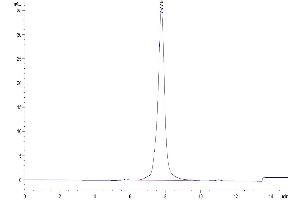 Size-exclusion chromatography-High Pressure Liquid Chromatography (SEC-HPLC) image for Growth Differentiation Factor 15 (GDF15) (AA 197-308) protein (Fc Tag,Biotin) (ABIN7274720)