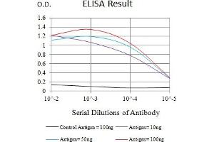 Black line: Control Antigen (100 ng),Purple line: Antigen (10 ng), Blue line: Antigen (50 ng), Red line:Antigen (100 ng) (IL17RA 抗体  (AA 33-320))