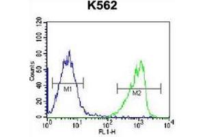 Flow Cytometry (FACS) image for anti-Gastric Intrinsic Factor (Vitamin B Synthesis) (GIF) (AA 188-218), (Middle Region) antibody (ABIN952930)