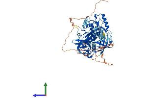 Protein Structure (PS) image for GTP Binding Protein 1 (GTPBP1) (AA 1-669) protein (His tag) (ABIN7548137)