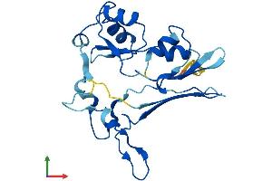 AlphaFold protein structure predicition of Human Recombinant GGTLC2 Protein, UniprotID Q14390