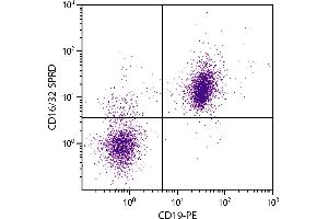 BALB/c mouse splenocytes were stained with Rat Anti-Mouse CD16/32-SPRD. (CD32/CD16 抗体  (SPRD))