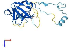 Protein Structure (PS) image for Endogenous Retrovirus Group K, Member 10 (ERVK-10) (AA 1-156) protein (His tag) (ABIN7545145)