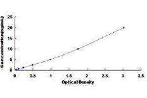 ELISA image for Transferrin (TF) ELISA Kit (ABIN1118113)