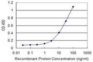 Detection limit for recombinant GST tagged PCDH10 is 0. (PCDH10 抗体  (AA 18-127))