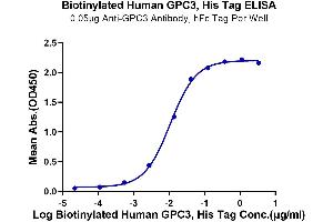ELISA image for Glypican 3 (GPC3) (AA 25-559) protein (His-Avi Tag,Biotin) (ABIN7274775)