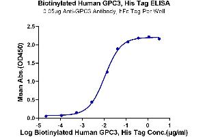 Immobilized Anti-GPC3 Antibody, hFc Tag at 0. (Glypican 3 Protein (GPC3) (AA 25-559) (His-Avi Tag,Biotin))