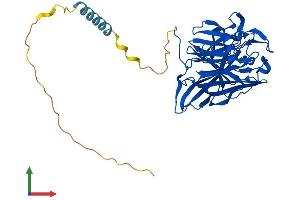 Protein Structure (PS) image for Calcium Activated Nucleotidase 1 (CANT1) (AA 1-401) protein (His tag) (ABIN7553027)