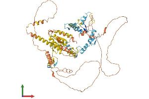 Protein Structure (PS) image for Zinc Finger and BTB Domain Containing 16 (ZBTB16) (AA 1-673) protein (His tag) (ABIN7545225)