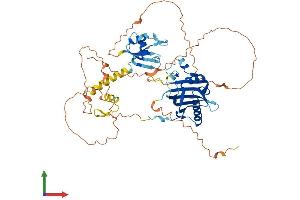 Protein Structure (PS) image for Nuclear RNA Export Factor 3 (NXF3) (AA 1-531) protein (His tag) (ABIN7550411)