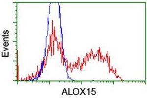 HEK293T cells transfected with either RC206621 overexpress plasmid (Red) or empty vector control plasmid (Blue) were immunostained by anti-ALOX15 antibody (ABIN2455497), and then analyzed by flow cytometry. (ALOX15 抗体)