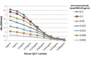 ELISA titer: the plate was coated with different amounts of mouse IgG1, lambda. (Recombinant 兔 anti-小鼠 lambda Light Chain (Lambda-IgLC) Antibody)