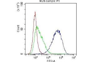 Flow Cytometry analysis of K562 cells using anti-TAPA1 antibody . (CD81 抗体  (AA 113-201))