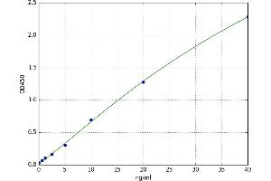 Microphthalmia-Associated Transcription Factor (MITF) ELISA Kit