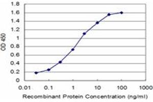 Detection limit for recombinant GST tagged PIK3C2B is approximately 0.
