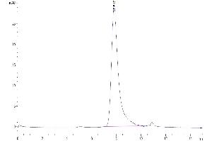 Size-exclusion chromatography-High Pressure Liquid Chromatography (SEC-HPLC) image for V-Set Domain Containing T Cell Activation Inhibitor 1 (VTCN1) (AA 33-191) protein (His tag) (ABIN7273973)